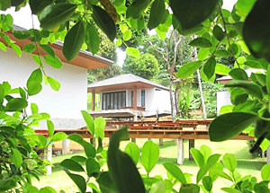 One of the most Nature friendly resorts on Koh Mak island